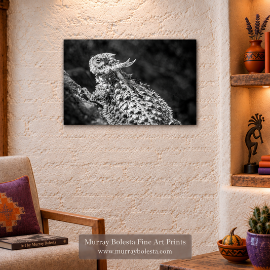 Horned frog artwork by Murray Bolesta