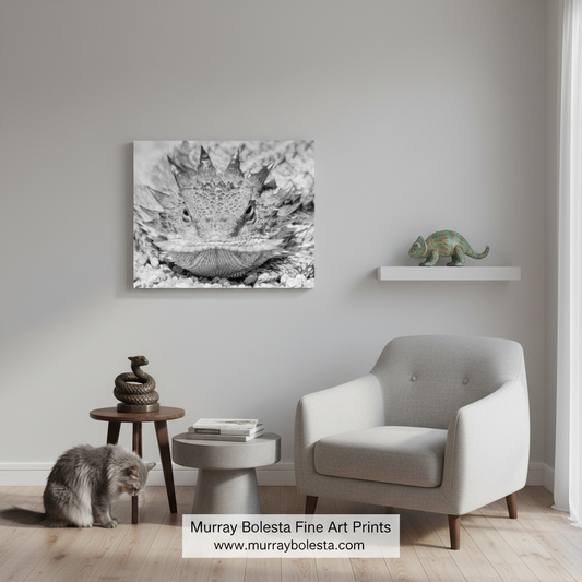 Horned Lizard Print – Black & White Desert Wildlife Art