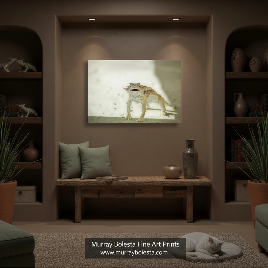 Horny toad by Murray Bolesta in Arizona. A framed wall art print showing a cat in profile, displayed in a styled living room setting above a wooden bench. The print has a warm, light-toned color palette.