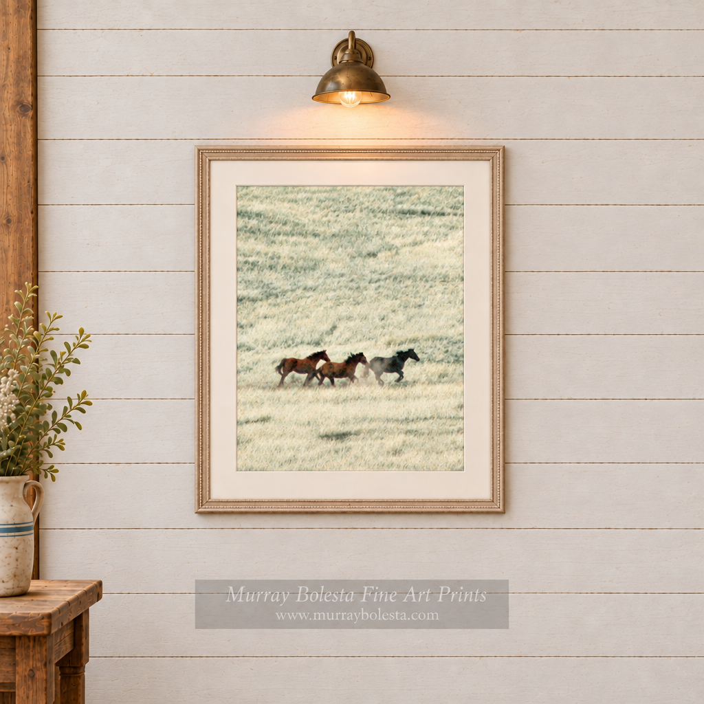 Horse artwork by Murray Bolesta