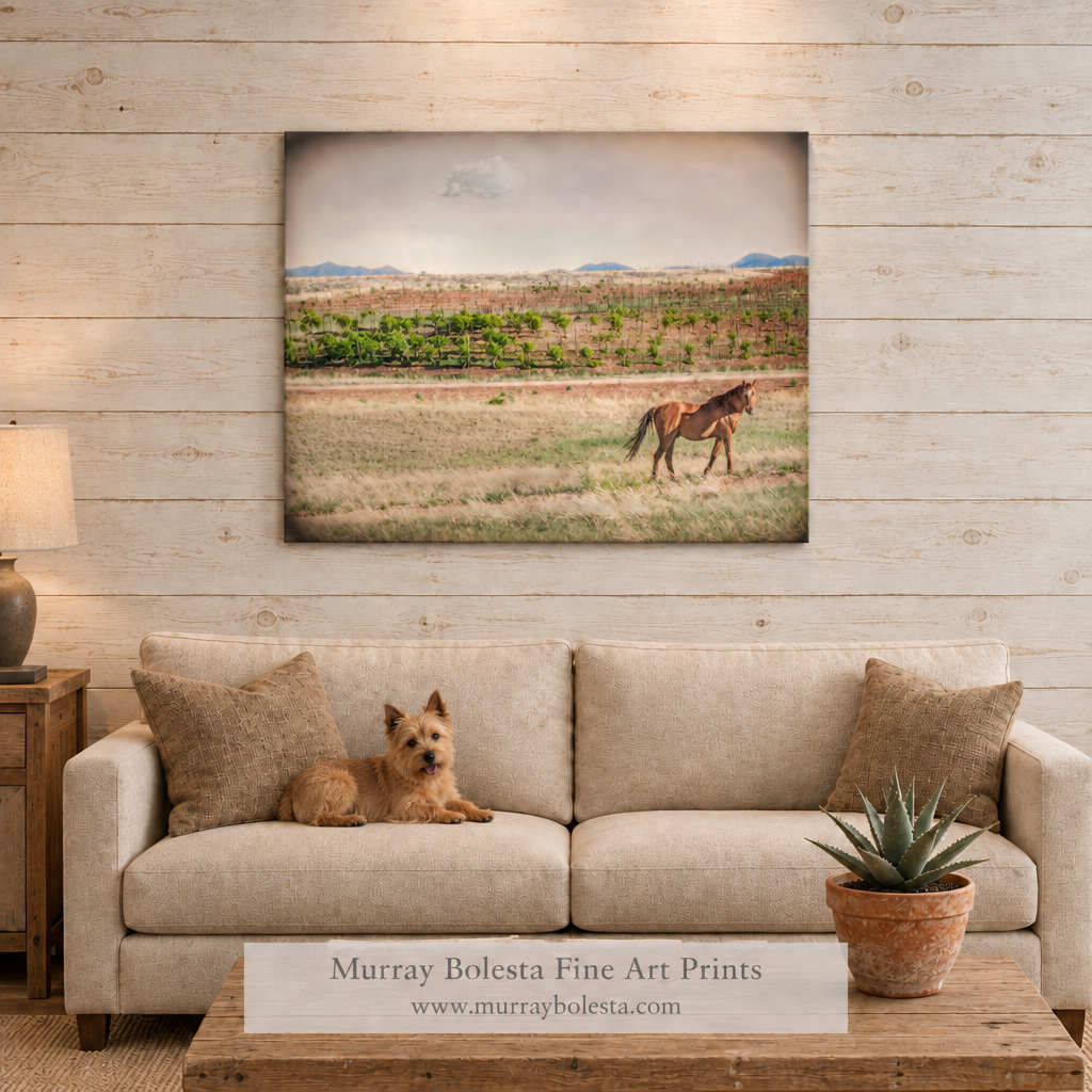 Horse-ranch canvas in Sonoita Elgin Arizona by Murray Bolesta with vineyard
