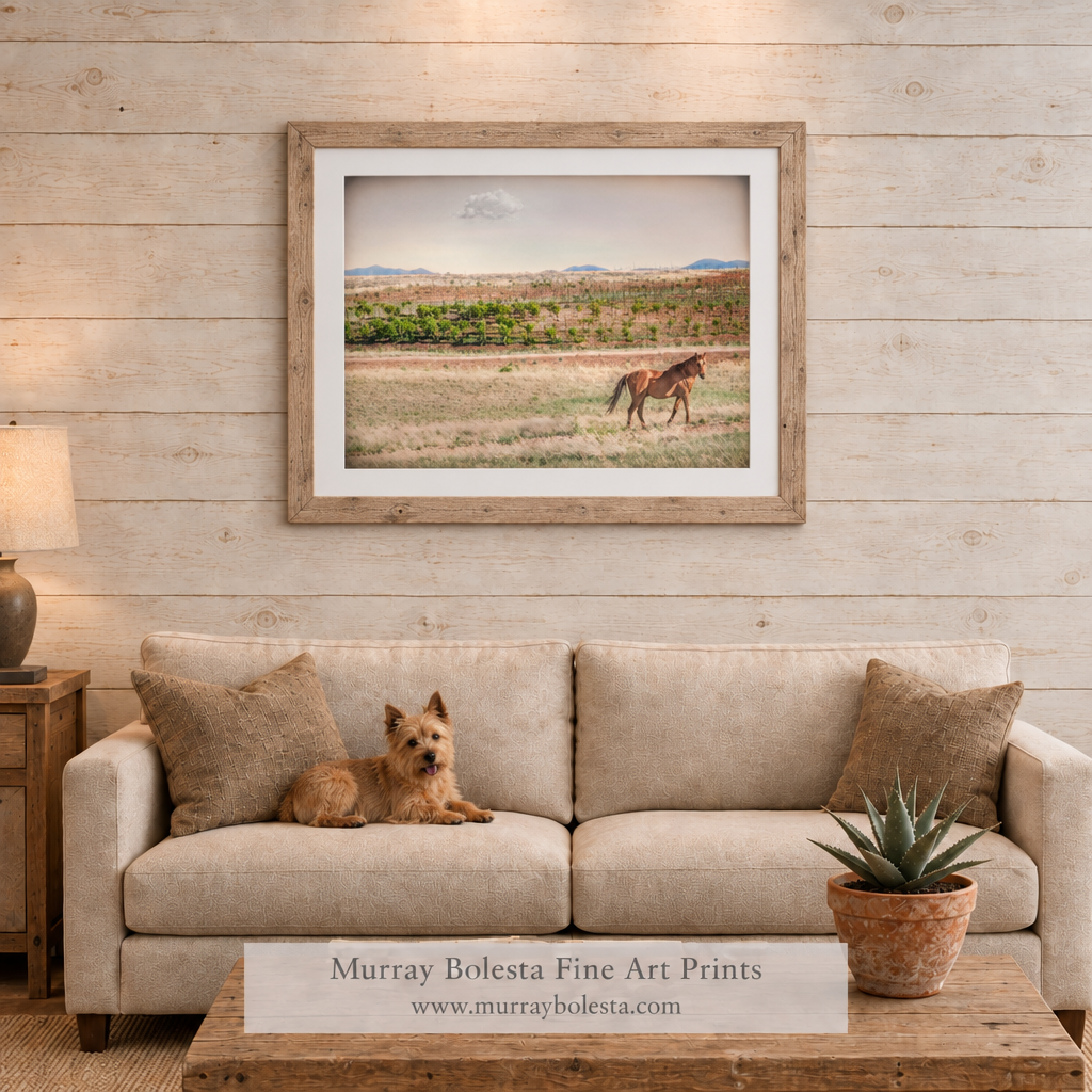 Horse-ranch artwork in Sonoita-Elgin Arizona by Murray Bolesta