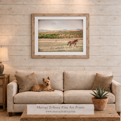 Horse-ranch artwork in Sonoita-Elgin Arizona by Murray Bolesta