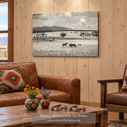 Horse ranch Huachuca Mountains Arizona by Murray Bolesta!