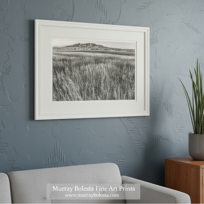 A black and white photograph of a vast grassy field with tall grasses, leading to a distant mountain range in the background. Huachuca Mountains Arizona Grasslands Landscape Art Print by Murray Bolesta