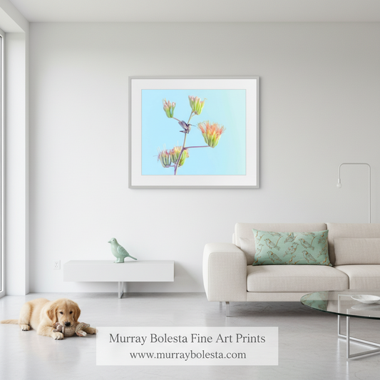 A framed art print featuring a hummingbird and orange flowers against a light blue background, displayed on a white wall in a modern living room with a sofa, coffee table, and a golden retriever lying on the floor. A text banner at the bottom reads 'Murray Bolesta Fine Art Prints' with the website 'www.