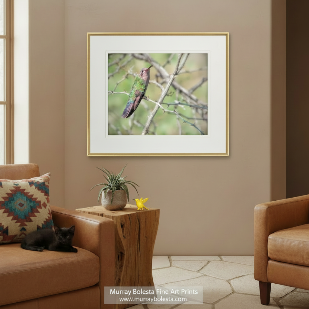 A colorful hummingbird perches on a branch, its vibrant green, blue, and red feathers contrasting with the blurred background.Hummingbird Photo - Bird Decor Print for Home at Tucson by Murray Bolesta