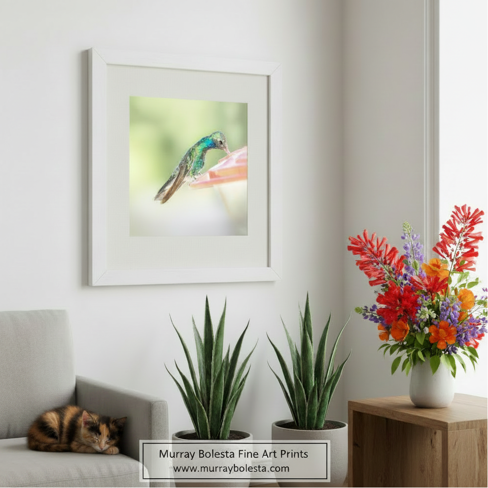 Colorful hummingbird perched on a pink flower with a soft green background. Arizona hummingbird artwork by Murray Bolesta!