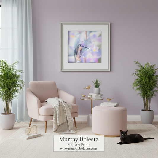 A framed art print featuring a hummingbird in soft pastel colors, displayed on a lavender wall in a styled living room with a blush pink armchair, potted plants, and a black cat. The text 'Murray Bolesta Fine Art Prints' is visible at the bottom.