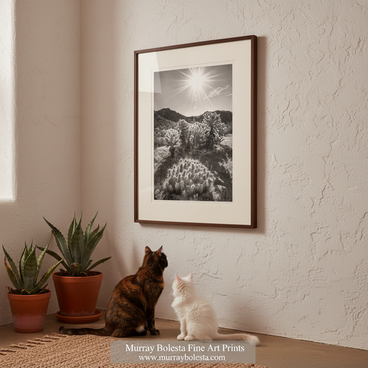 Ironwood Forest National Monument Tucson Arizona by Murray Bolesta! A framed black and white landscape art print hangs on a textured beige wall above two cats sitting on a woven rug, with potted plants to the left. The print features a bright sun over a desert or scrubland scene.