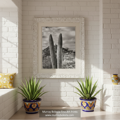 A black and white photograph of two tall cacti standing upright in a desert landscape, with a cloudy sky in the background. Cactus Decor with Desert Landscape at Cocoraque Butte Tucson Arizona by Murray Bolesta