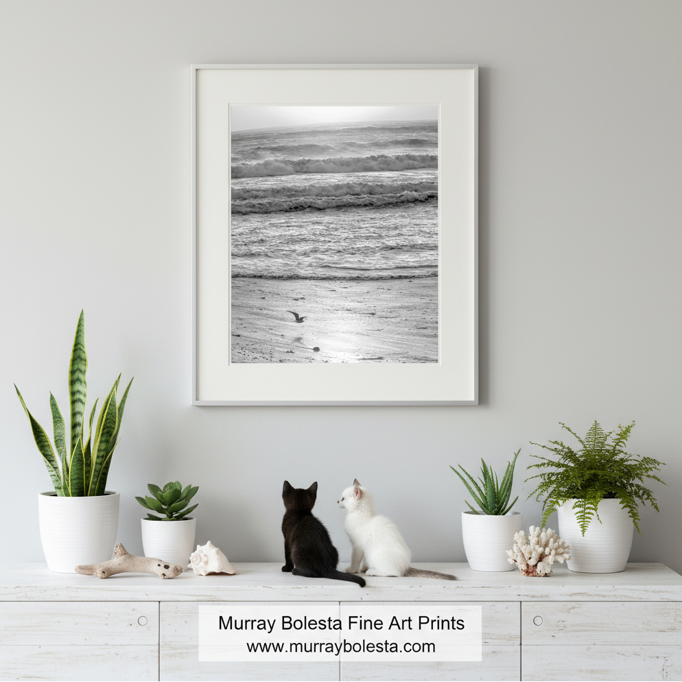 Jalama Beach California art! A framed black and white beach print by Murray Bolesta hangs on a light gray wall above a white console table. Two cats sit on the table beside potted plants and seashells, while the print is the product being shown.