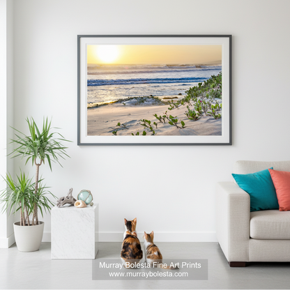A serene beach scene at sunset, with the sun setting over the ocean and casting a warm glow on the sand and vegetation along the shoreline. Jalama Beach Big Sur Painterly Art Print Pacific Ocean Sunset Decor by Murray Bolesta!