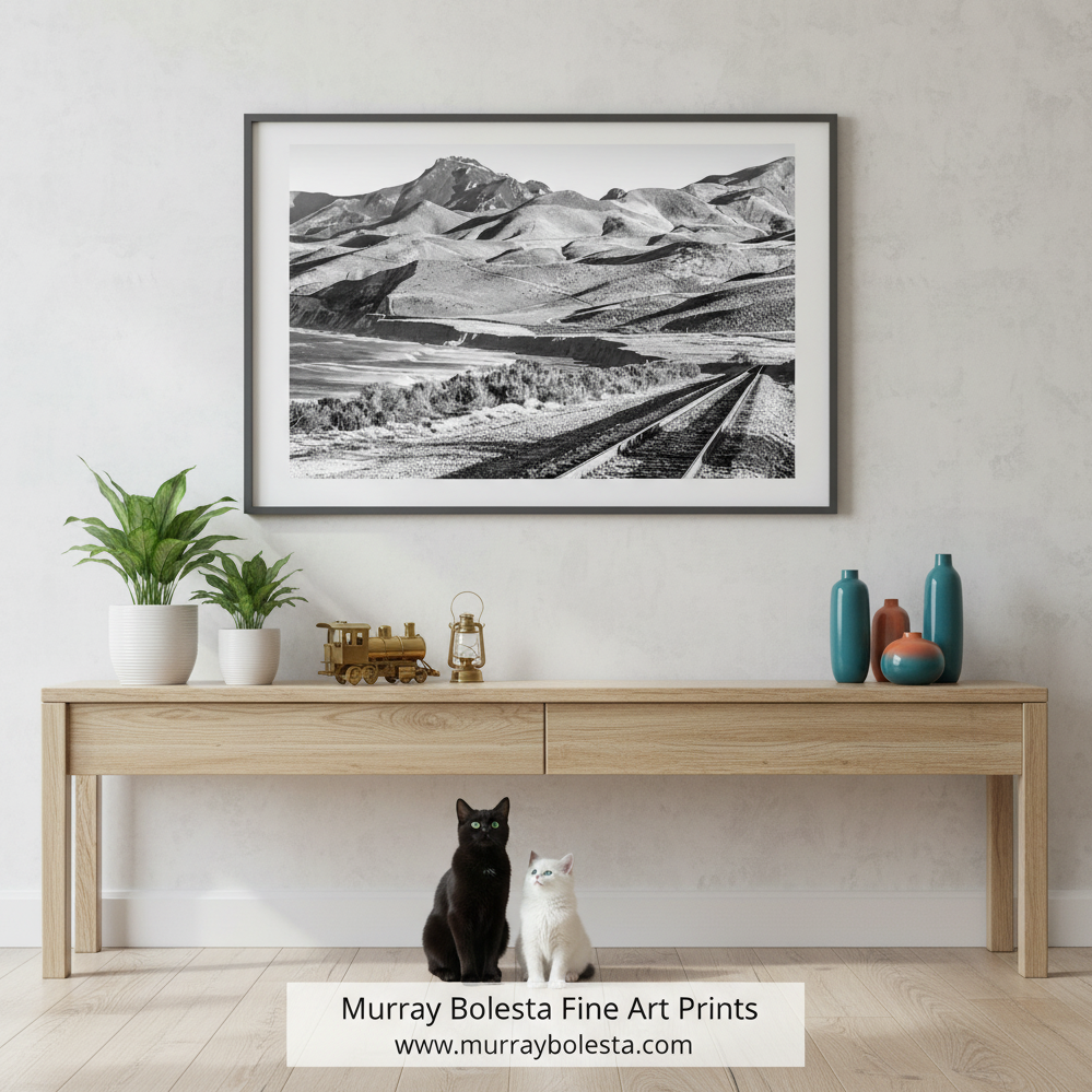 A black and white photograph depicting a mountainous landscape with a railroad track running through it. Jalama Beach Big Sur Railroad Art Print Coastal Train Photograph by Murray Bolesta!