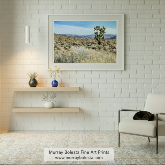 A desert landscape with a large tree in the foreground and a field of yellow flowers in the background, with mountains visible in the distance under a blue sky. Joshua Tree & Creosote Art - Death Valley Mojave Desert Print by Murrya Bolesta