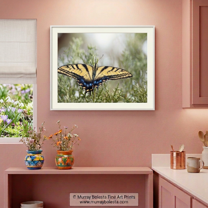 Kitchen with butterfly art by Murray Bolesta. Arizona insect photography.