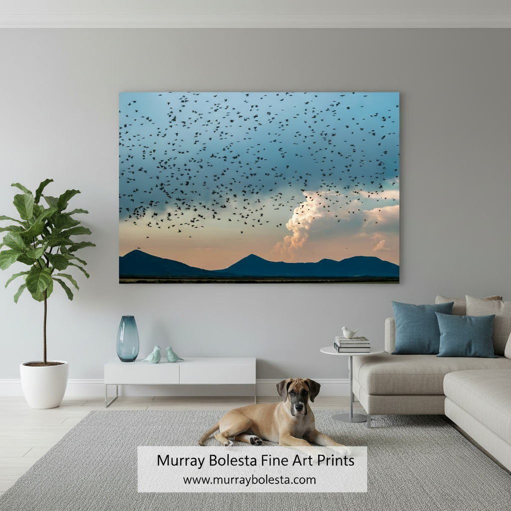 A flock of birds flying over a mountainous landscape at sunset. Flock of Birds Art | Klamath Wildlife Refuge Moody Wetlands Print by Murray Bolesta!