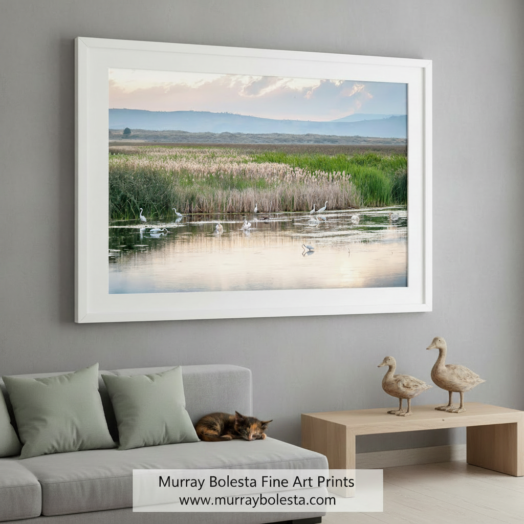 A serene landscape featuring a group of white birds wading in a shallow body of water, surrounded by tall reeds and a picturesque backdrop of mountains and a cloudy sky. Waterbird Art | Pelicans & Egrets Wetlands Landscape Print by Murray Bolesta
