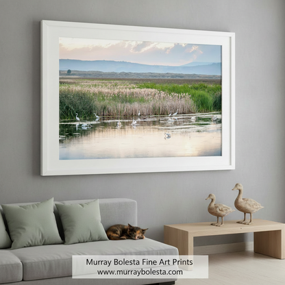 A serene landscape featuring a group of white birds wading in a shallow body of water, surrounded by tall reeds and a picturesque backdrop of mountains and a cloudy sky. Waterbird Art | Pelicans & Egrets Wetlands Landscape Print by Murray Bolesta