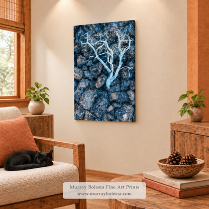 Lava Beds National Monument Still Life Deadwood by Murray Bolesta!
