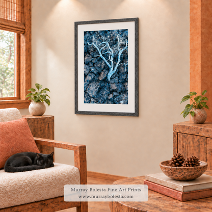 Lava Beds National Monument Still Life by Murray Bolesta