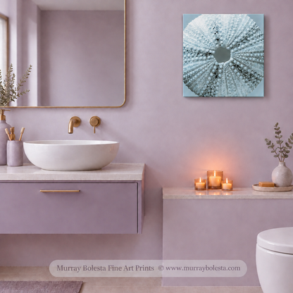sea urchin artwork by Murray Bolesta for home!