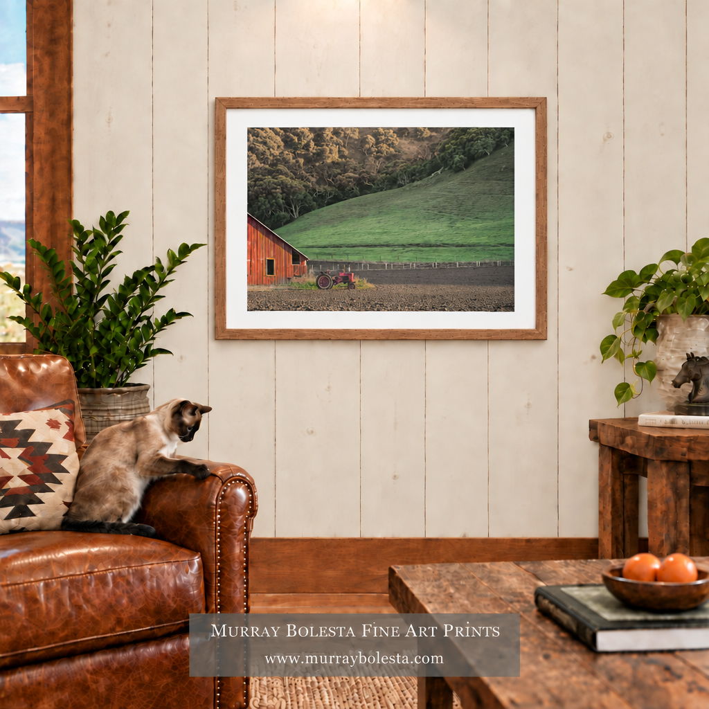 Lompoc barn artwork by Murray Bolesta!