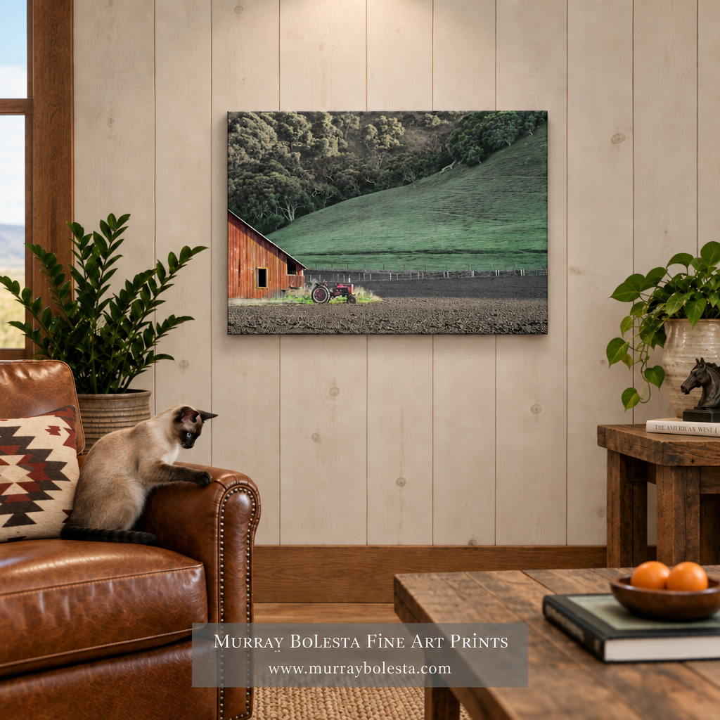 Lompoc barn artwork by Murray Bolesta!