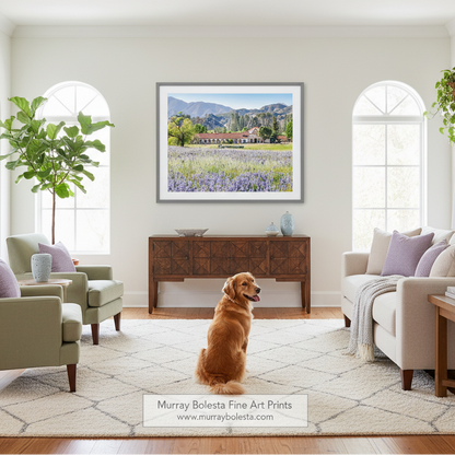 Lompoc California spanish colonial mission, framed landscape art print by Murray Bolesta hangs on a beige wall in a bright, modern living room. The print depicts a lavender field with mountains and a building.