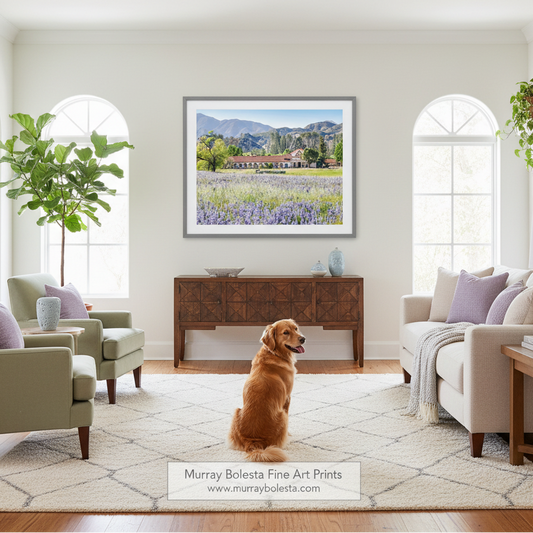 Lompoc California spanish colonial mission, framed landscape art print by Murray Bolesta hangs on a beige wall in a bright, modern living room. The print depicts a lavender field with mountains and a building.