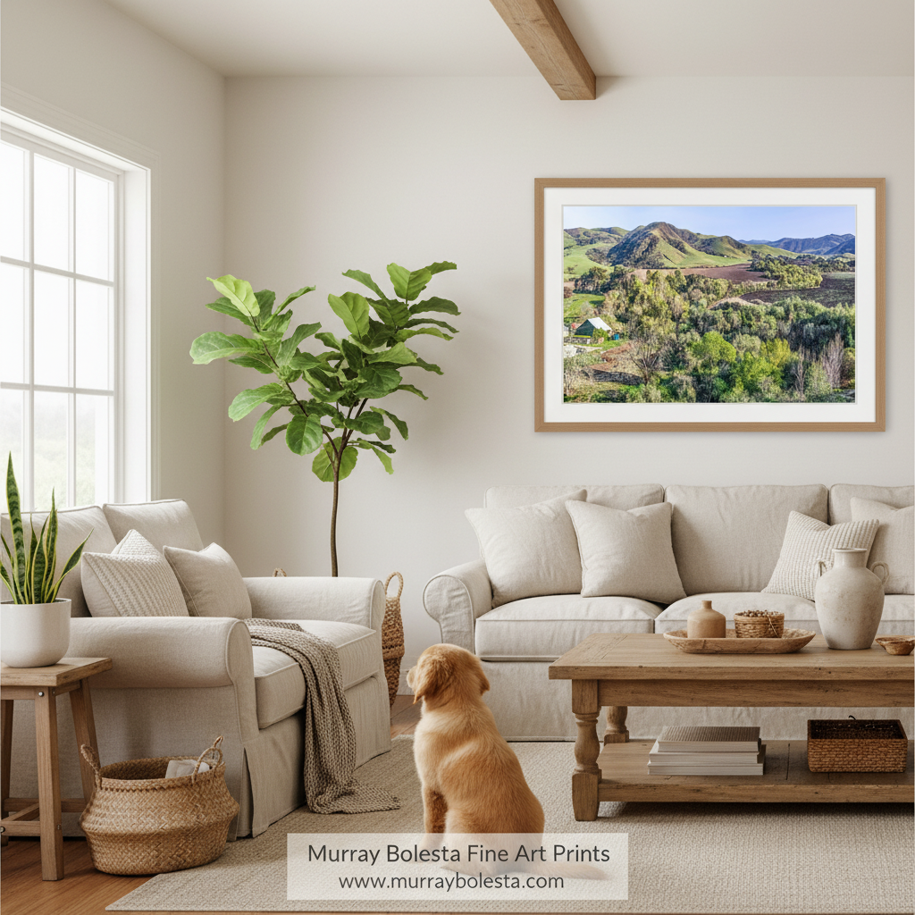 Lompoc California farm land! A framed landscape art print of green hills and mountains under a blue sky, displayed on a beige wall in a bright, modern living room with a dog sitting on the floor. The print is branded with 'Murray Bolesta Fine Art Prints' at the bottom.