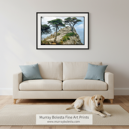 A framed landscape art print of coastal cypress trees on a rocky cliffside with the ocean, displayed on a light gray wall above a cream sofa with blue pillows. A yellow Labrador retriever is lying on a beige rug on the floor in front of the sofa.