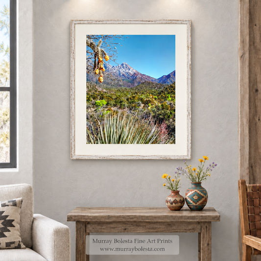 Madera Canyon of the Santa Ritas, Arizona landscape art by Murray Bolesta.