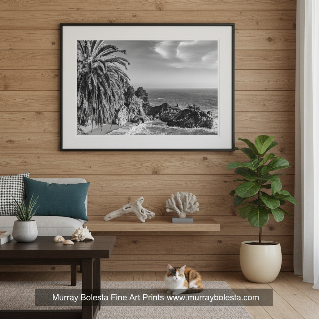 Big Sur Black White McWay Falls Seascape Pacific Ocean Art by Murray Bolesta!