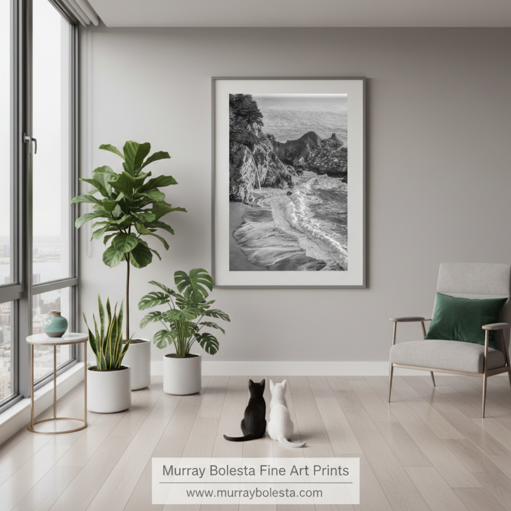 McWay Falls Big Sur Pacific Coast Fine Art Print in Black and White by Murray Bolesta!