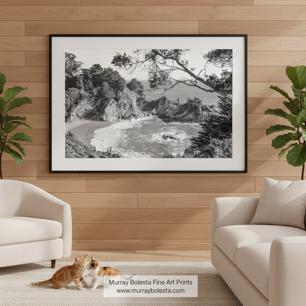A black and white photograph depicting a rocky coastline with crashing waves, a sandy beach, and a distant body of water. McWay Falls Big Sur Black & White Art Print | California Coast Photo by Murray Bolesta!