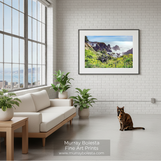 Mendocino coast! A framed landscape art print by Murray Bolesta hangs on a white brick wall in a modern living room setting with a white sofa, potted plants, and a cat on the floor.