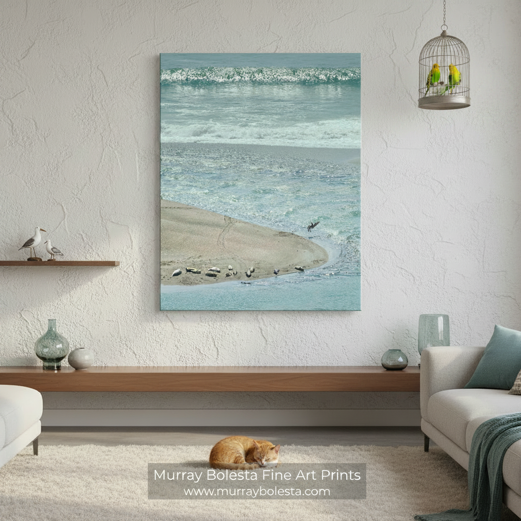 a serene beach scene with a sandy shoreline, a small body of water, and a few birds resting on the sand. Mendocino Ocean Art with Sea Lions & Pelican Birds Framed Print by Murray Bolesta