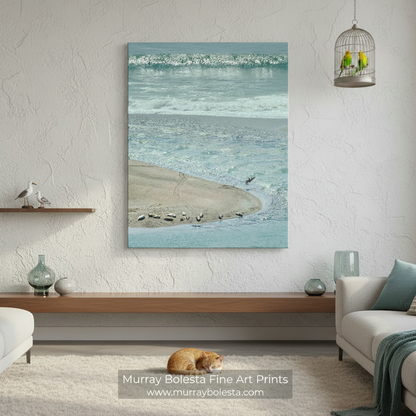 a serene beach scene with a sandy shoreline, a small body of water, and a few birds resting on the sand. Mendocino Ocean Art with Sea Lions & Pelican Birds Framed Print by Murray Bolesta