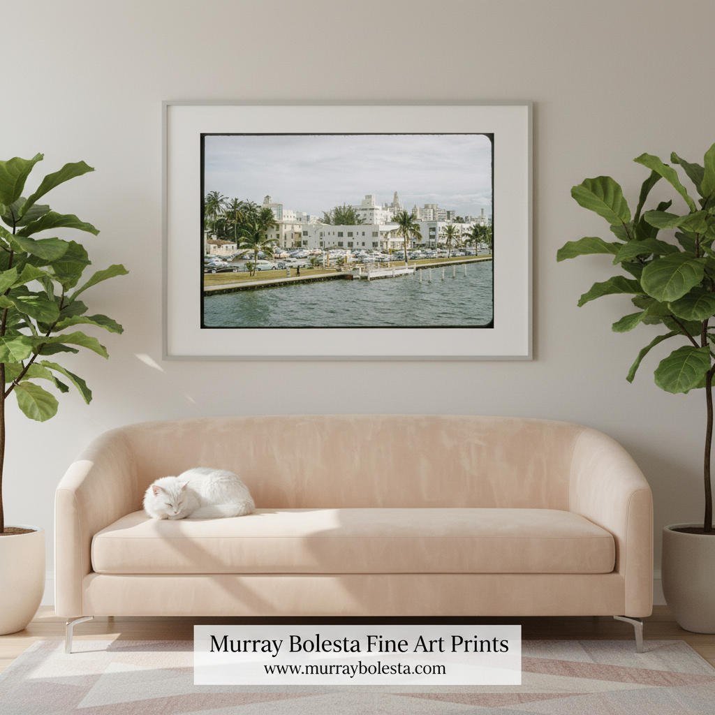 Miami Beach.  A framed art print of a waterfront scene with white buildings and palm trees, displayed on a light beige wall above a cream-colored sofa with a white cat resting on it. Two potted fiddle-leaf fig plants flank the sofa, and a white banner at the bottom reads 'Murray Bolesta Fine Art Prints' with the website 'www.
