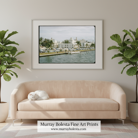 Miami Beach.  A framed art print of a waterfront scene with white buildings and palm trees, displayed on a light beige wall above a cream-colored sofa with a white cat resting on it. Two potted fiddle-leaf fig plants flank the sofa, and a white banner at the bottom reads 'Murray Bolesta Fine Art Prints' with the website 'www.