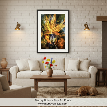 Sycamore Leaf in Water Abstract Art Print | Arizona Canyon Botanical Picture by Murray Bolesta