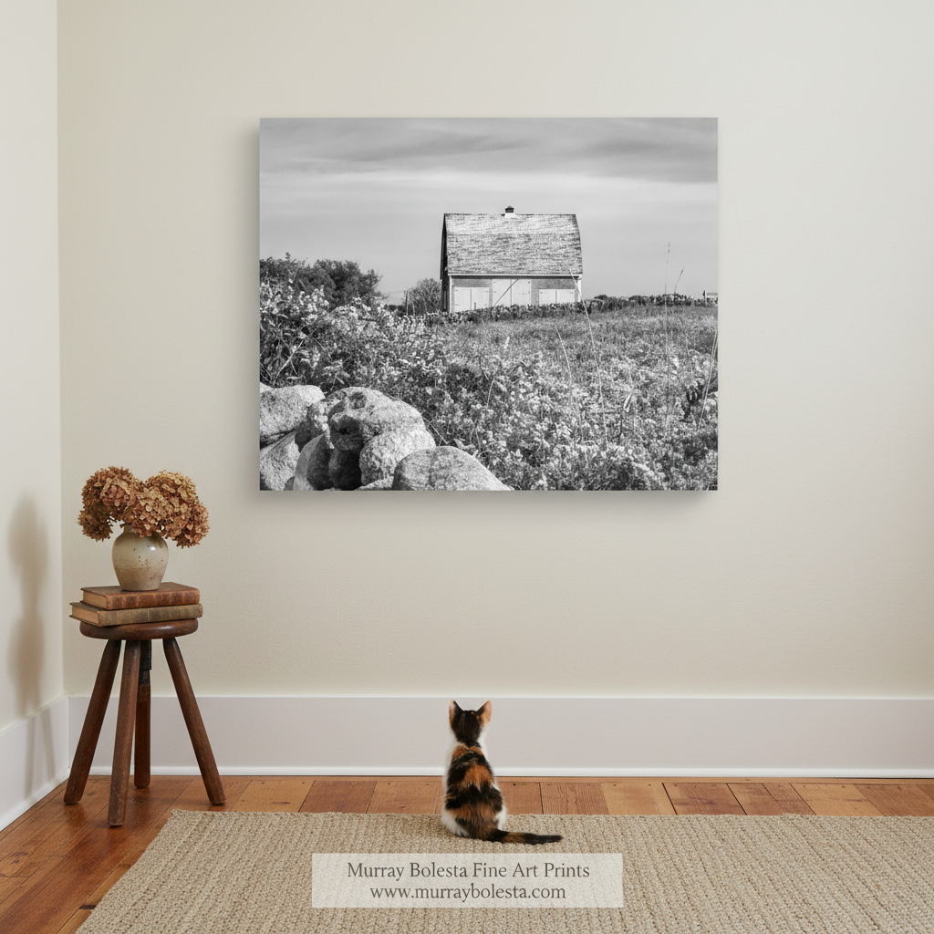 A black and white photograph of a small, old-fashioned house with a slanted roof, situated in a field with tall grass and rocks. Block Island Black & White Barn Canvas Print | Farm Wall Decor by Murray Bolesta