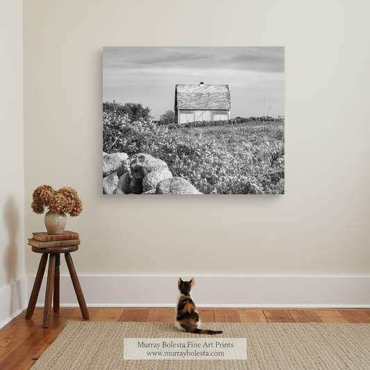 A black and white photograph of a small, old-fashioned house with a slanted roof, situated in a field with tall grass and rocks. Block Island Black & White Barn Canvas Print | Farm Wall Decor by Murray Bolesta