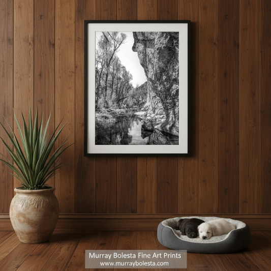 A black and white photograph depicting a serene natural landscape with a small stream flowing through a rocky canyon, surrounded by trees and vegetation. Sycamore Canyon border Arizona art by Murray Bolesta!