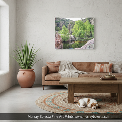 a serene arizona canyon natural landscape with a calm lake surrounded by lush greenery and rocky cliffs. Sycamore Canyon Arizona art by Murray Bolesta/1