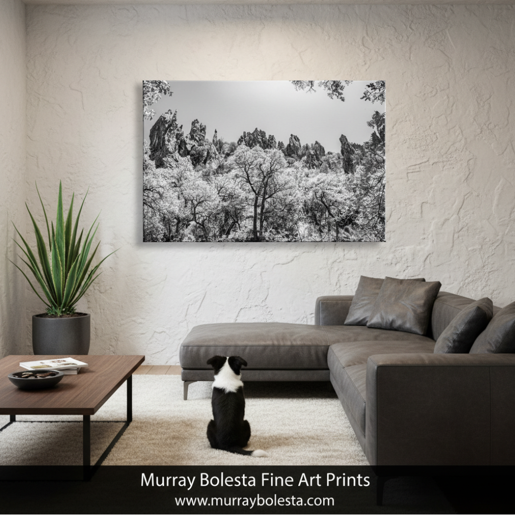 Arizona Mexico Border Desert Canyon Art Print | Black and White Photography by Murray Bolesta