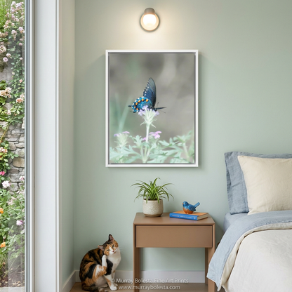 Arizona Swallowtail Butterfly art print by Murray Bolesta