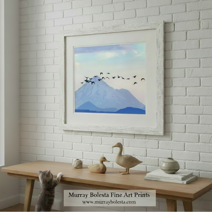 Canvas print of a mountain with birds flying over it on a brick wall background. Mount Shasta art by Murray Bolesta