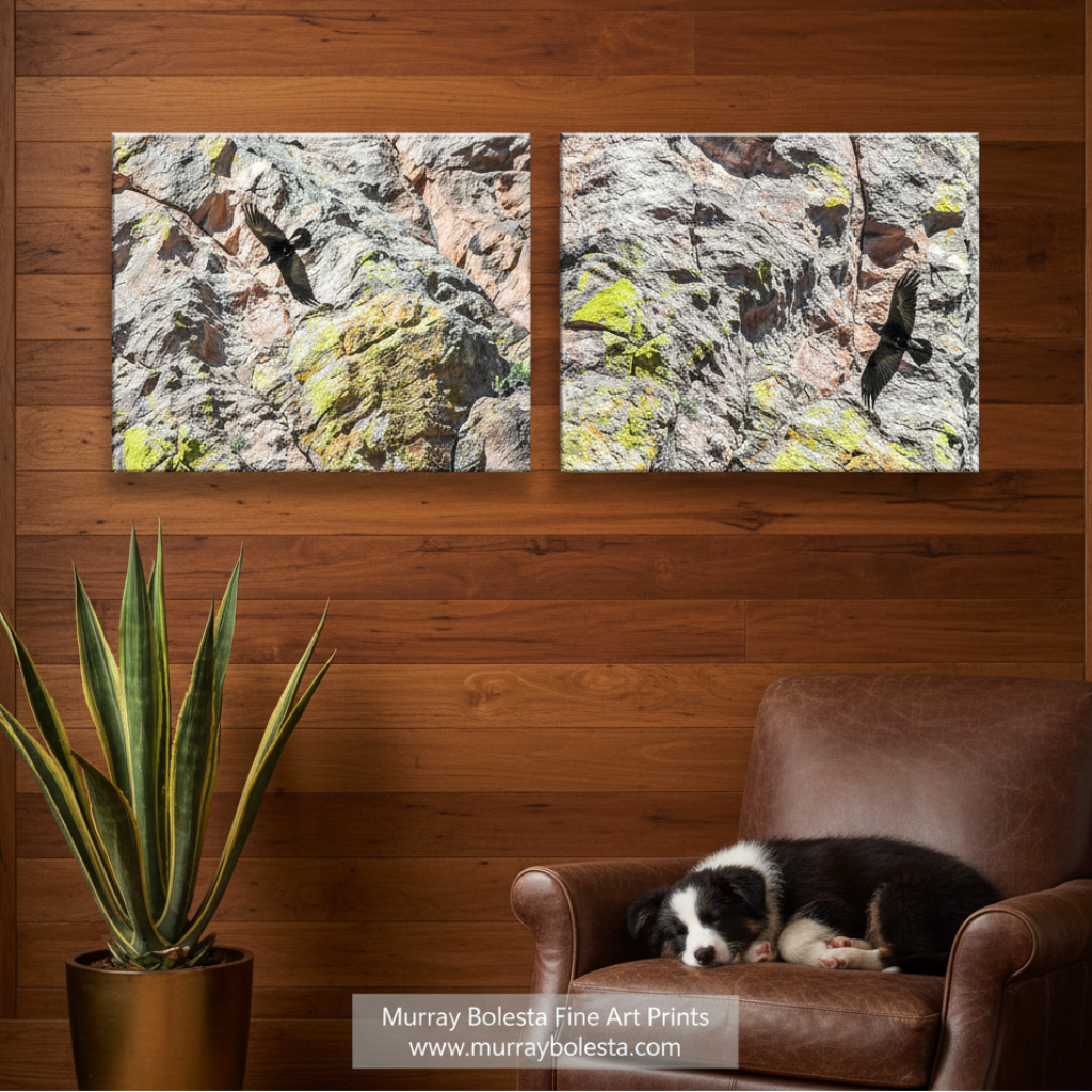 The image is a collage of two pictures, each depicting a bird flying over a rocky landscape with patches of green moss.Raven in Flight Photography Art Print Set of 2 | Desert Wildlife Diptych by Murray Bolesta!